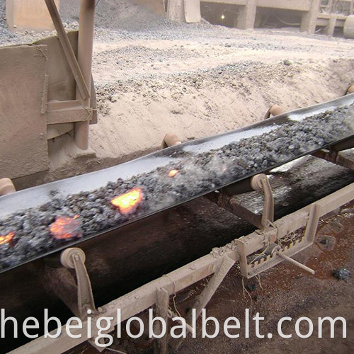 Heat Resistant Conveyor Belt1